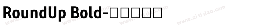 RoundUp Bold字体转换